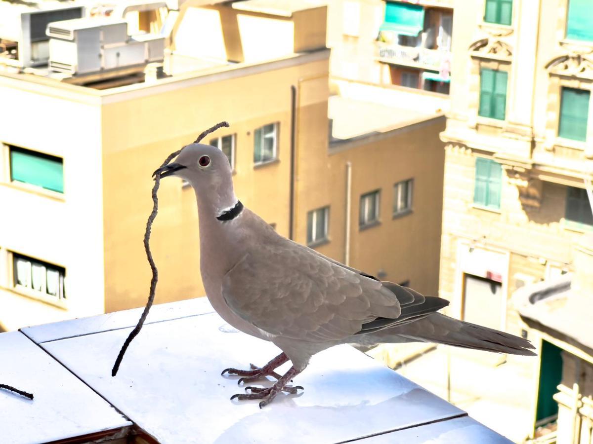 Home Sweet Home Nel Cuore Di Genova Kültér fotó